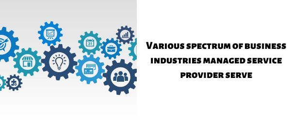 Various spectrum of business industries managed service provider serve